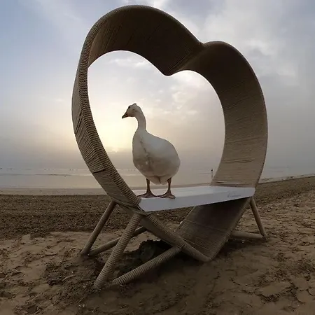 Hotel Caravel Marotta