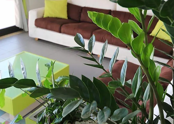 Caravel Hotel Marotta